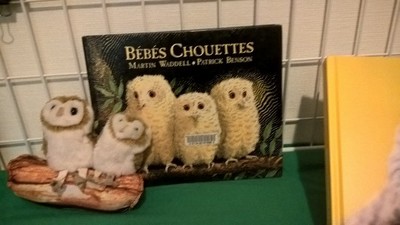 Biblioseraincourt95 - Exposition les oiseaux 1