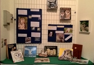 Biblioseraincourt95 - Exposition les oiseaux 5