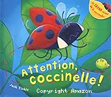 Attention coccinelle !