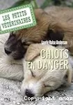 Chiots en danger