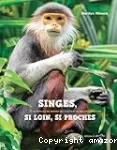 Singes, si loin, si proches