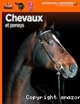 Chevaux et poneys