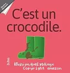 C'est un crocodile