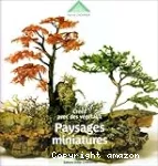 Paysages miniatures