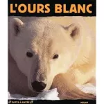 L' ours blanc