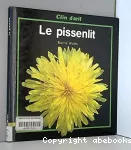 Le pissenlit