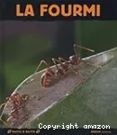 La fourmi