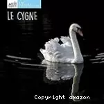 Le cygne