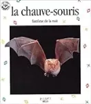 La chauve-souris