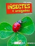 Les insectes & araignées