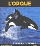L' orque