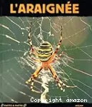 L' araignée