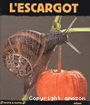 L' escargot