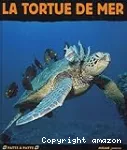 La tortue de mer